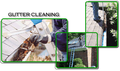 Gutter cleaning services