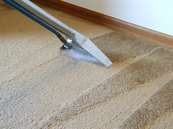 Camden carpet and upholstery cleaning